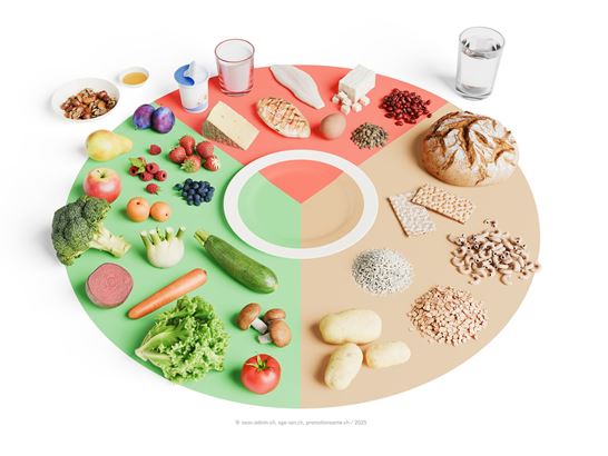 Ausgewogener Teller Leer FR Ausgewogener Teller Leer FR