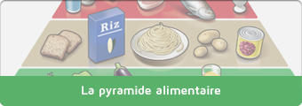 Assiette optimale - alimentation équilibrée