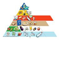 La pyramide alimentaire - Test Achats